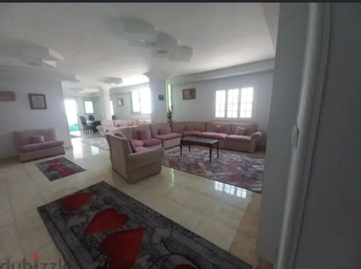 Apartment Alexandria