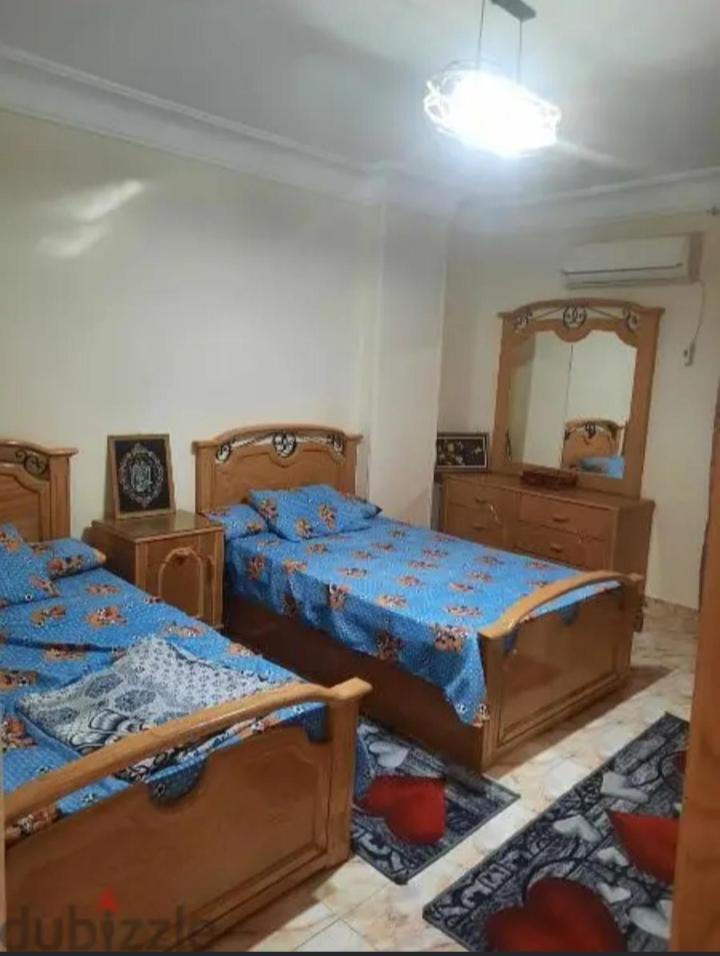 Apartment * Alexandria